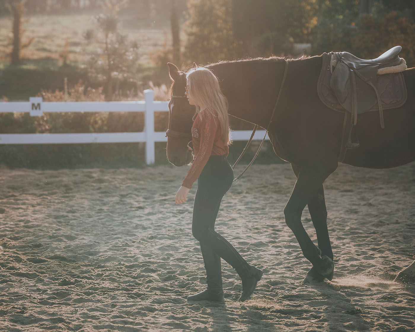 sesja plenerowa z koniem