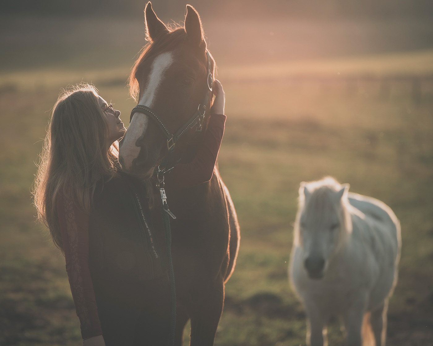 sesja plenerowa w stadninie